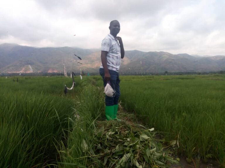 Services awareness agriculture